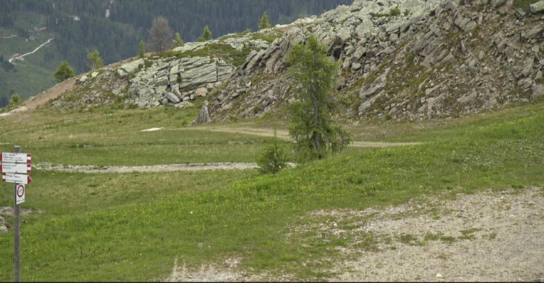 Webcam San Martino di Castrozza - Passo Rolle - Pista Tognola UNO
