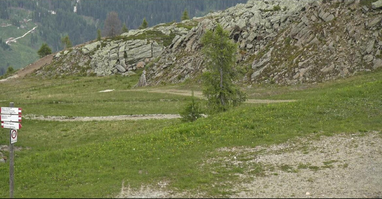 Webcam San Martino di Castrozza - Passo Rolle - Pista Tognola UNO