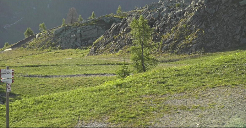 Webcam San Martino di Castrozza - Passo Rolle - Pista Tognola UNO