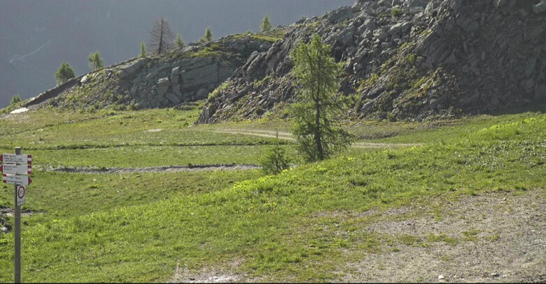 Webcam San Martino di Castrozza - Passo Rolle - Pista Tognola UNO