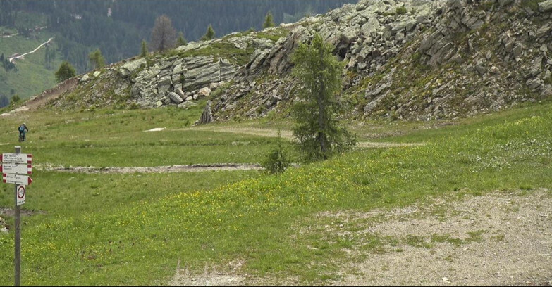 Webcam Сан-Мартино-ди-Кастроцца - Пассо-Ролле - Pista Tognola UNO