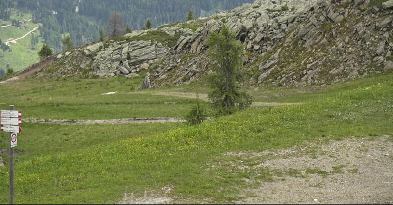 Webcam Сан-Мартино-ди-Кастроцца - Пассо-Ролле - Pista Tognola UNO