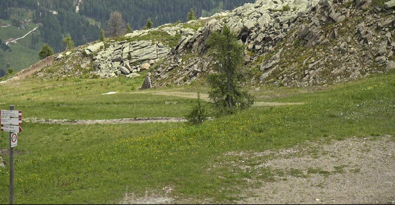 Webcam Сан-Мартино-ди-Кастроцца - Пассо-Ролле - Pista Tognola UNO