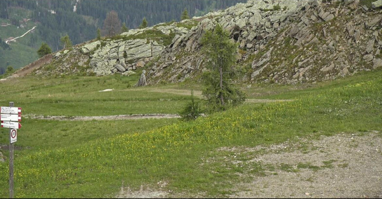 Webcam Сан-Мартино-ди-Кастроцца - Пассо-Ролле - Pista Tognola UNO