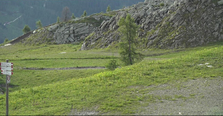 Webcam Сан-Мартино-ди-Кастроцца - Пассо-Ролле - Pista Tognola UNO