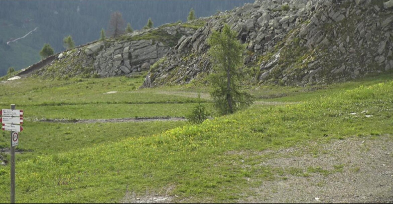 Webcam Сан-Мартино-ди-Кастроцца - Пассо-Ролле - Pista Tognola UNO