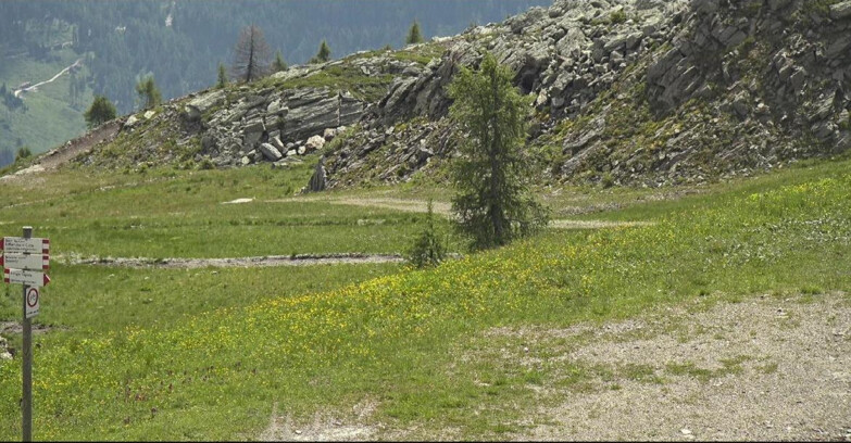 Webcam San Martino di Castrozza - Passo Rolle - Pista Tognola UNO