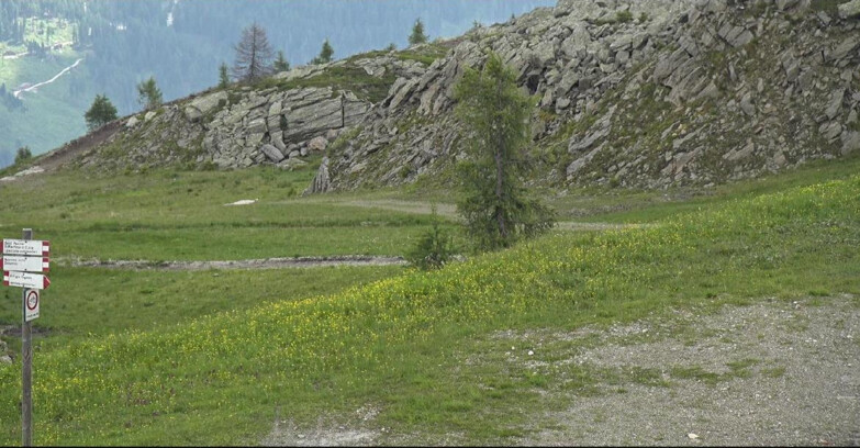 Webcam San Martino di Castrozza - Passo Rolle - Pista Tognola UNO