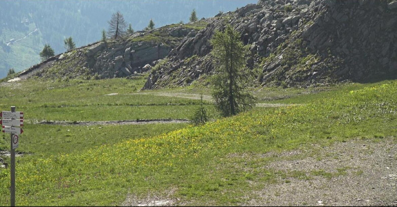 Webcam San Martino di Castrozza - Passo Rolle - Pista Tognola UNO
