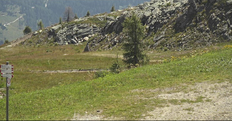 Webcam San Martino di Castrozza - Passo Rolle - Pista Tognola UNO