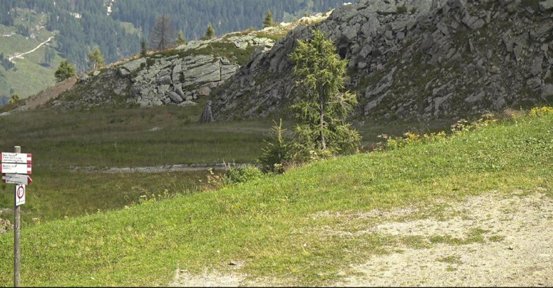 Webcam San Martino di Castrozza - Passo Rolle - Pista Tognola UNO