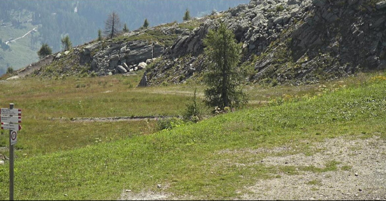 Webcam San Martino di Castrozza - Passo Rolle  - Pista Tognola UNO