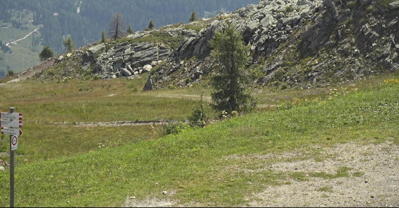 Webcam San Martino di Castrozza - Passo Rolle  - Pista Tognola UNO