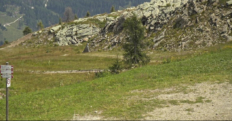 Webcam San Martino di Castrozza - Passo Rolle  - Pista Tognola UNO