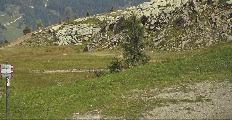Webcam San Martino di Castrozza - Passo Rolle  - Pista Tognola UNO