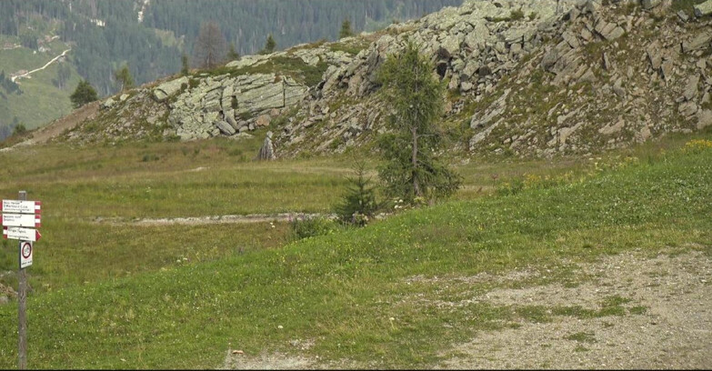 Webcam San Martino di Castrozza - Passo Rolle  - Pista Tognola UNO