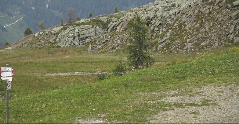 Webcam San Martino di Castrozza - Passo Rolle  - Pista Tognola UNO