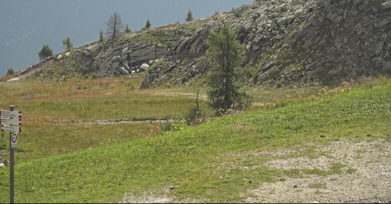 Webcam San Martino di Castrozza - Passo Rolle - Pista Tognola UNO