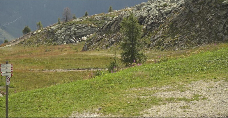 Webcam Сан-Мартино-ди-Кастроцца - Пассо-Ролле - Pista Tognola UNO