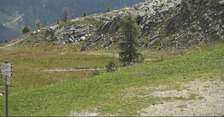 Webcam San Martino di Castrozza - Passo Rolle - Pista Tognola UNO