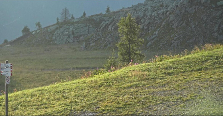 Webcam Сан-Мартино-ди-Кастроцца - Пассо-Ролле - Pista Tognola UNO