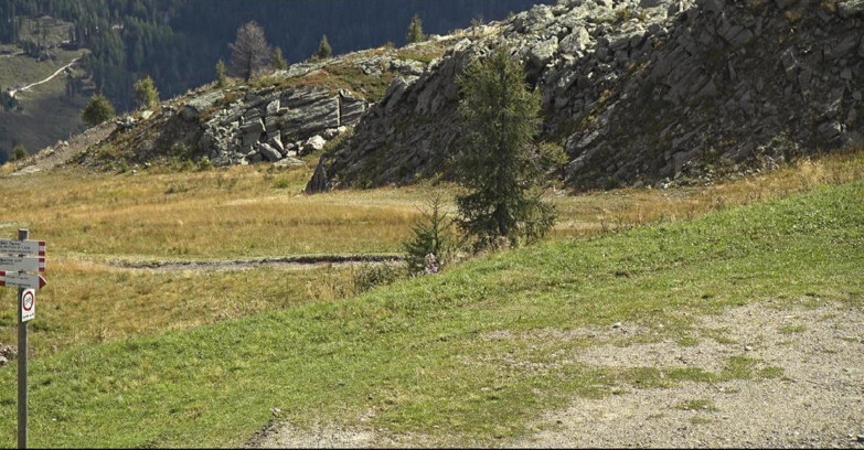 Webcam San Martino di Castrozza - Passo Rolle - Pista Tognola UNO