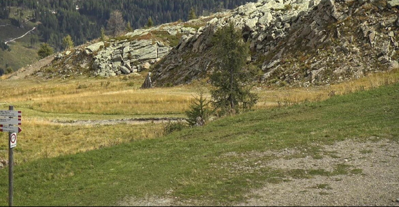 Webcam San Martino di Castrozza - Passo Rolle - Pista Tognola UNO