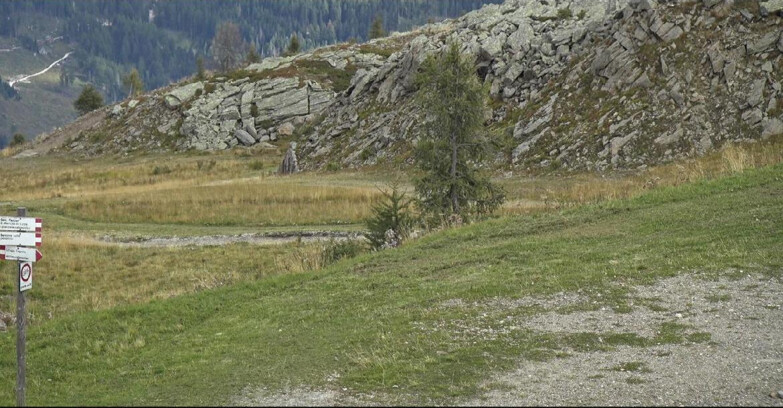 Webcam San Martino di Castrozza - Passo Rolle - Pista Tognola UNO