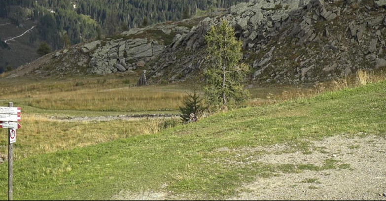 Webcam San Martino di Castrozza - Passo Rolle - Pista Tognola UNO