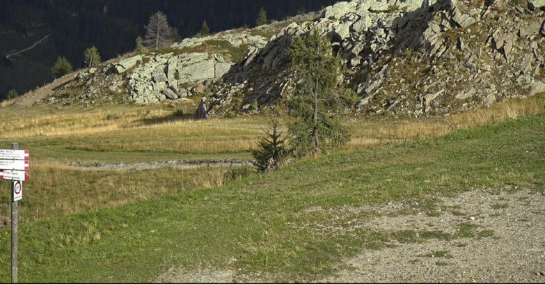 Webcam San Martino di Castrozza - Passo Rolle - Pista Tognola UNO