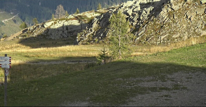 Webcam San Martino di Castrozza - Passo Rolle - Pista Tognola UNO