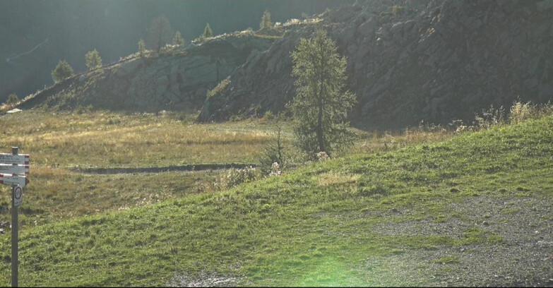 Webcam San Martino di Castrozza - Passo Rolle - Pista Tognola UNO