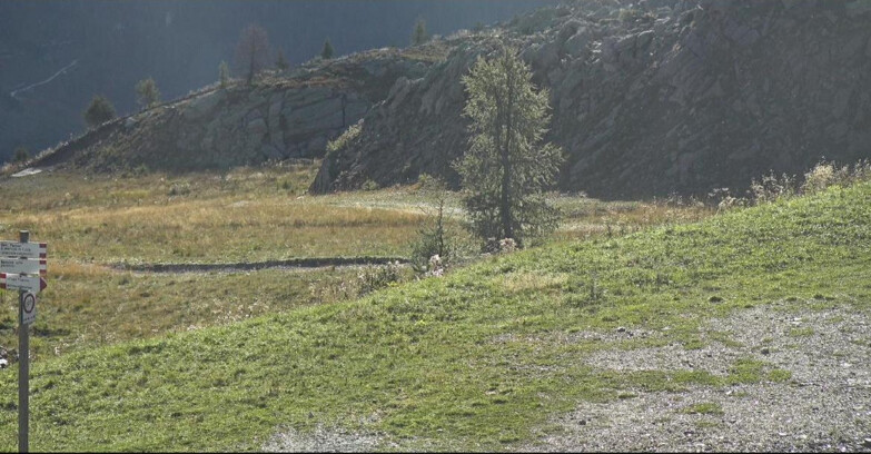 Webcam San Martino di Castrozza - Passo Rolle - Pista Tognola UNO