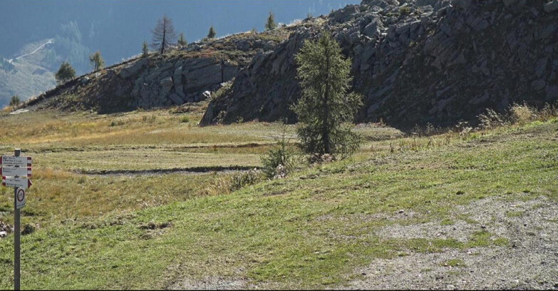 Webcam San Martino di Castrozza - Passo Rolle  - Pista Tognola UNO