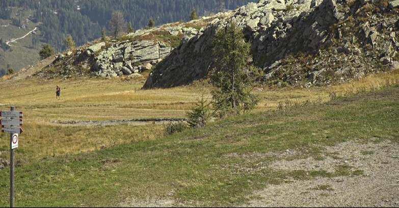 Webcam San Martino di Castrozza - Passo Rolle  - Pista Tognola UNO