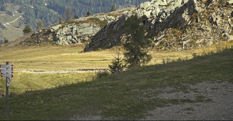 Webcam San Martino di Castrozza - Passo Rolle  - Pista Tognola UNO