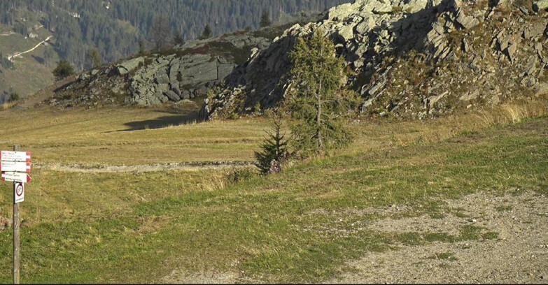 Webcam San Martino di Castrozza - Passo Rolle  - Pista Tognola UNO