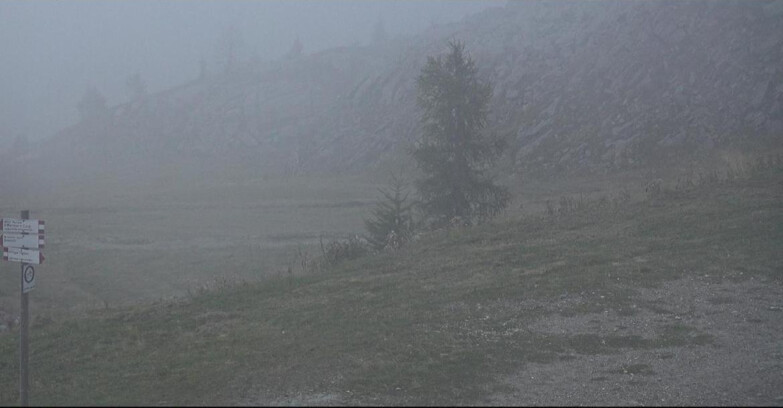 Webcam San Martino di Castrozza - Passo Rolle  - Pista Tognola UNO