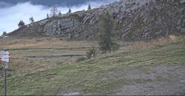 Webcam San Martino di Castrozza - Passo Rolle  - Pista Tognola UNO