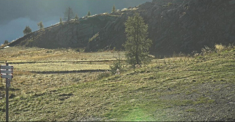 Webcam San Martino di Castrozza - Passo Rolle  - Pista Tognola UNO