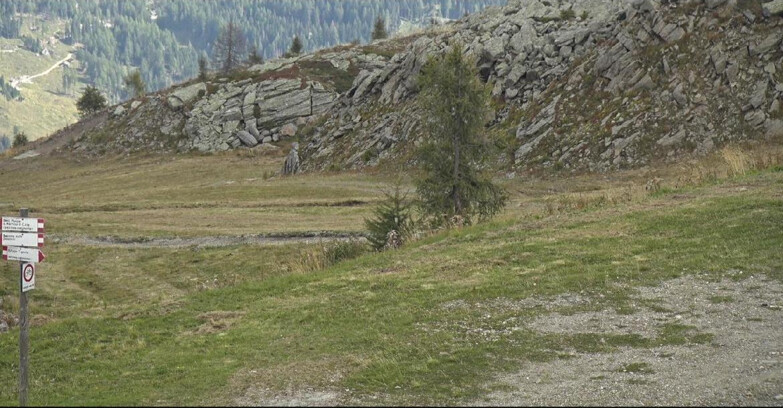 Webcam San Martino di Castrozza - Passo Rolle - Pista Tognola UNO