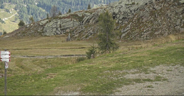 Webcam San Martino di Castrozza - Passo Rolle - Pista Tognola UNO