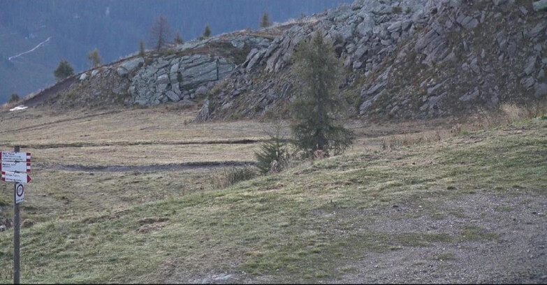 Webcam San Martino di Castrozza - Passo Rolle - Pista Tognola UNO