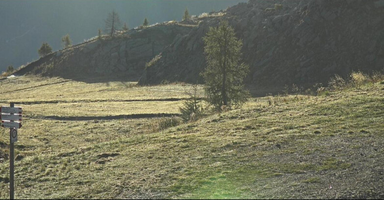 Webcam San Martino di Castrozza - Passo Rolle - Pista Tognola UNO