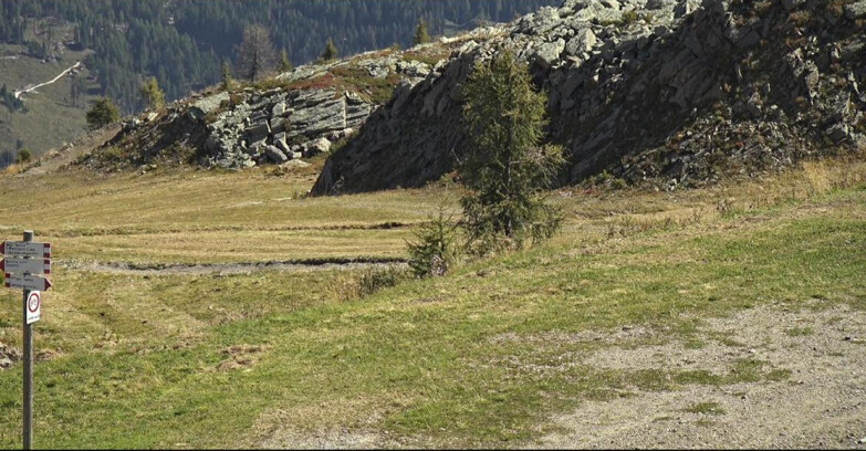 Webcam San Martino di Castrozza - Passo Rolle - Pista Tognola UNO