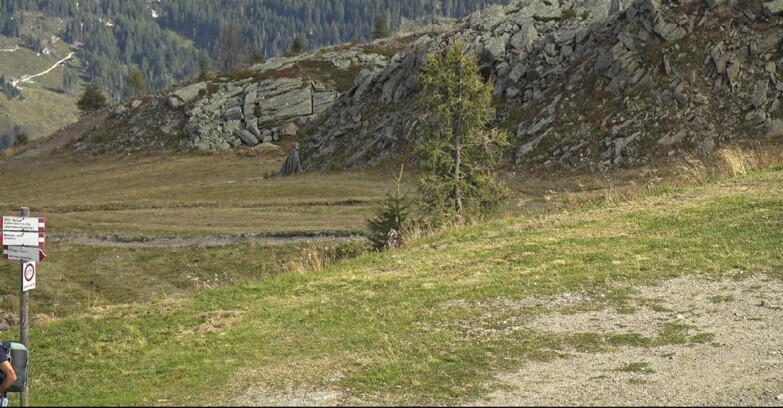 Webcam San Martino di Castrozza - Passo Rolle - Pista Tognola UNO