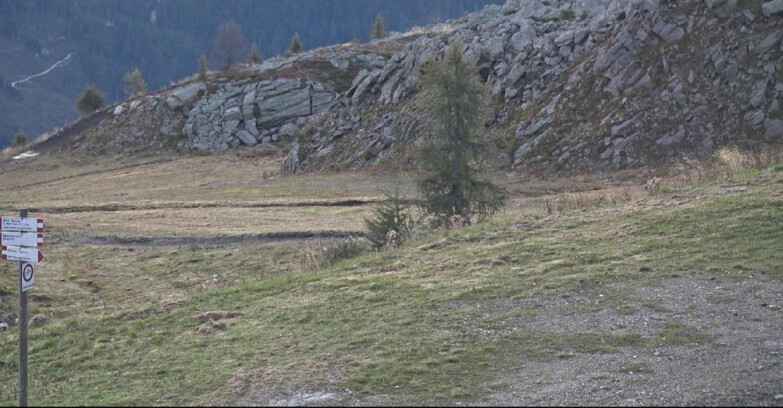 Webcam San Martino di Castrozza - Passo Rolle - Pista Tognola UNO