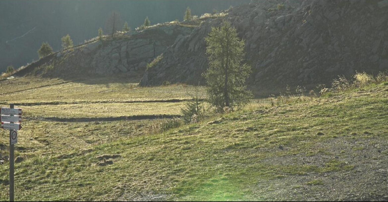 Webcam San Martino di Castrozza - Passo Rolle - Pista Tognola UNO