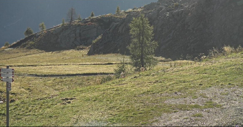 Webcam San Martino di Castrozza - Passo Rolle - Pista Tognola UNO