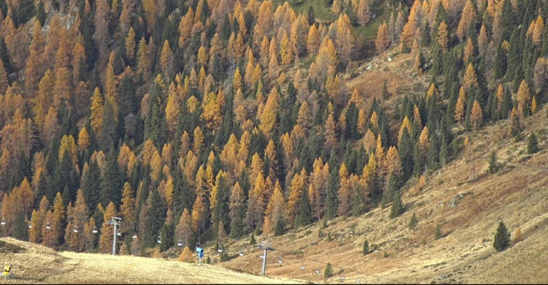 Webcam San Martino di Castrozza - Passo Rolle - Tognola - Piste Scandola